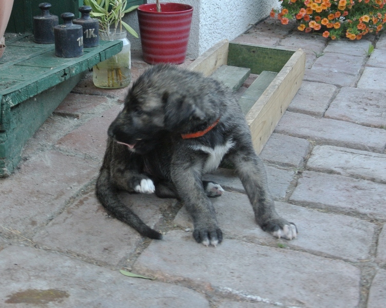 co se děje