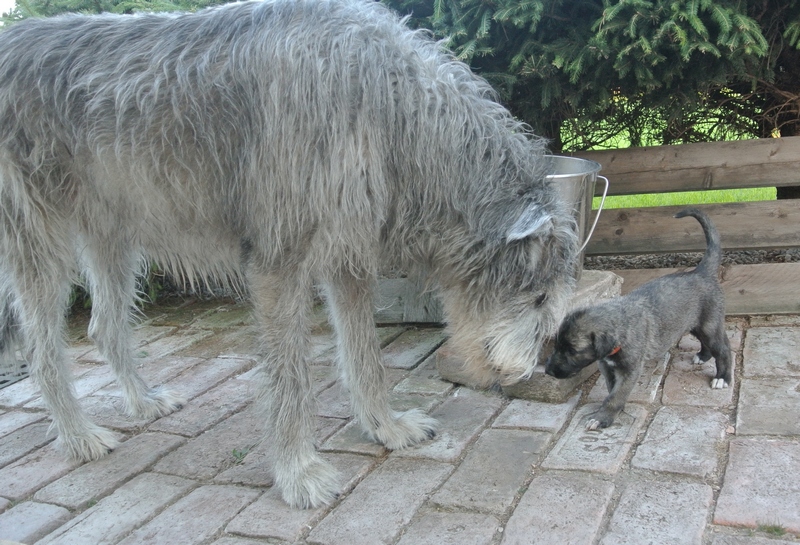 s babičkou